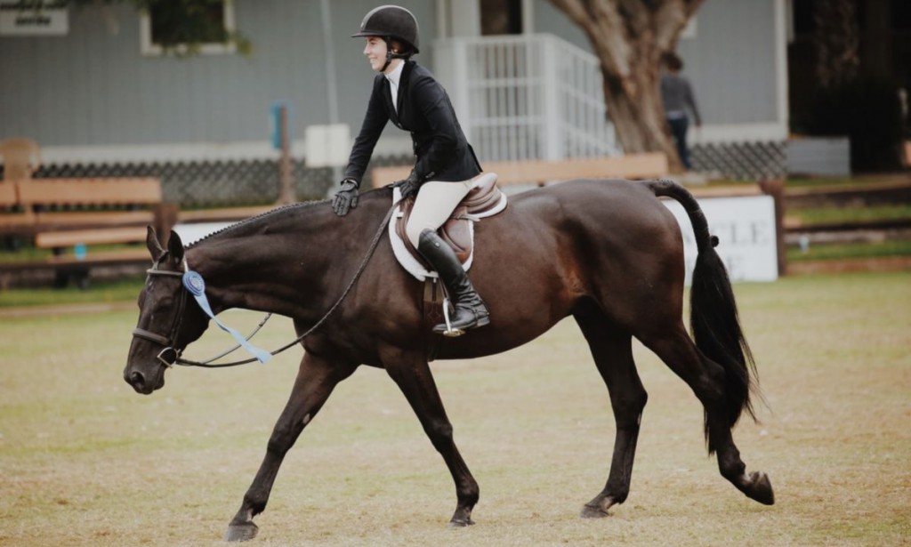 Convenire principes mnesarchum priid