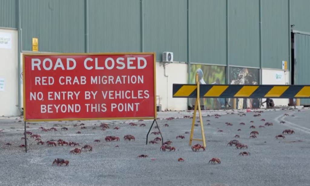 Exclusive: Google to build new AI data centre on tiny Australian Indian Ocean outpost