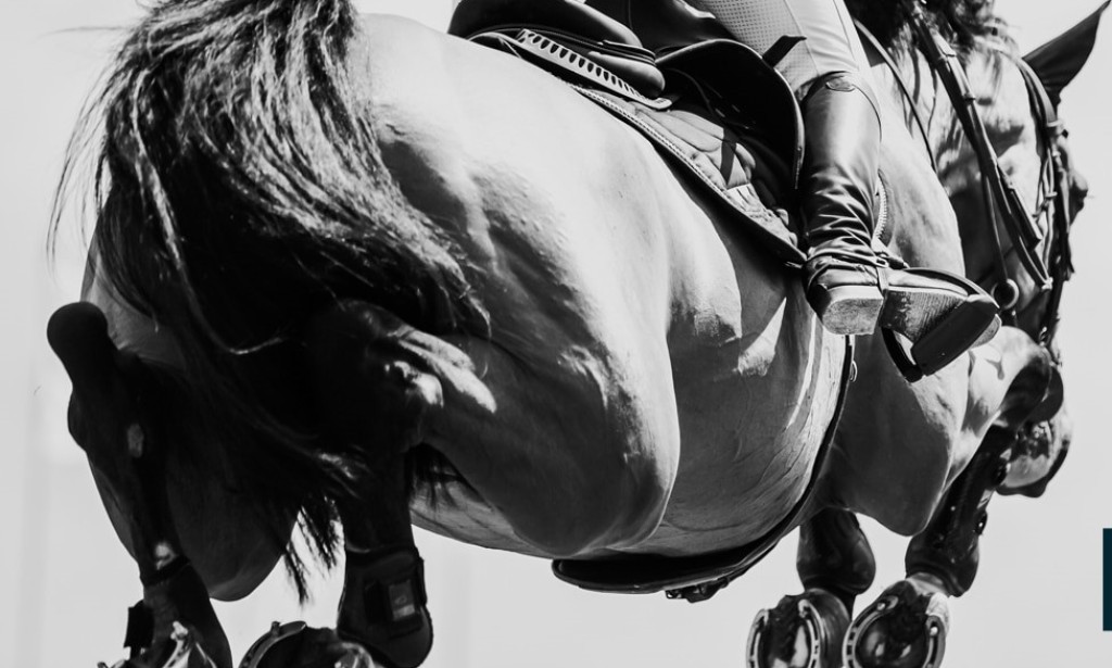 IJRC Responds to FEI Jumping Rules Review