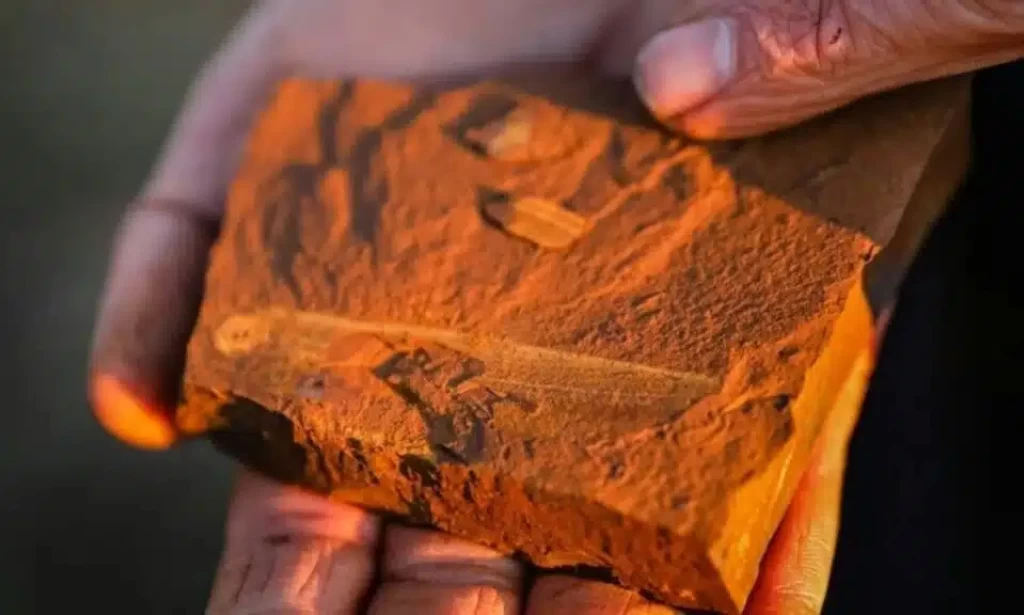 These Strange Red Australian Rocks Hide Fossils With Impossible Precision