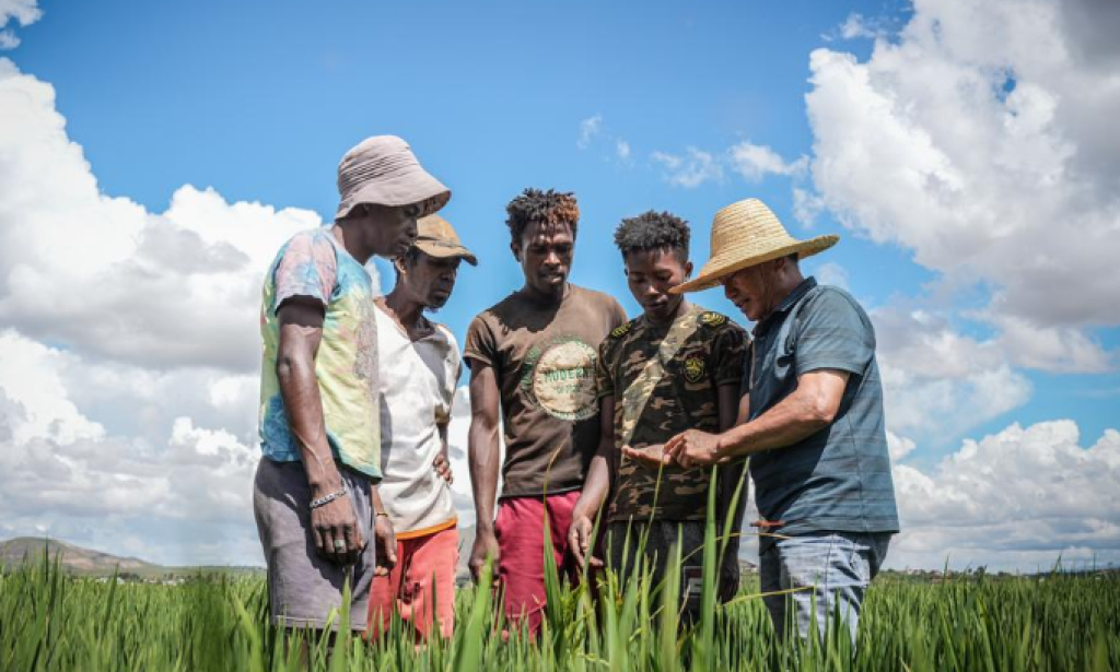 Experts laud Beijing's vision of development