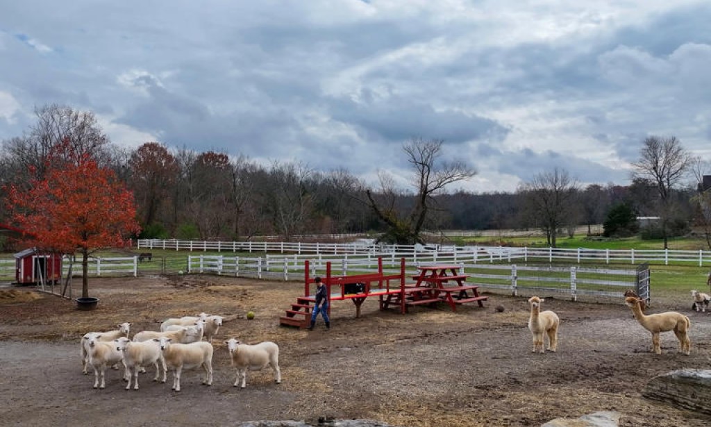 Trump defies GOP critics by signing controversial order threatening states over AI laws