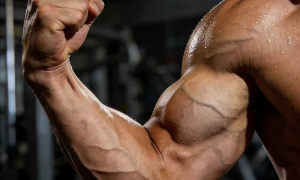 Scientific Arm Training: Build Toned, Strong Arms the Right Way