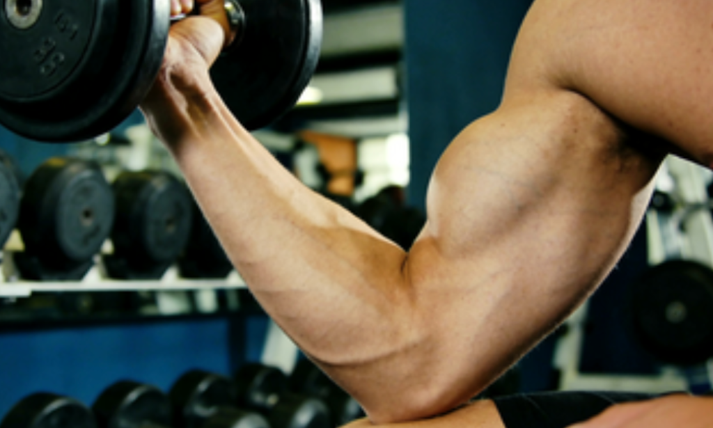Top 5 Arm Training Movements: Build Bulky, Defined Arms