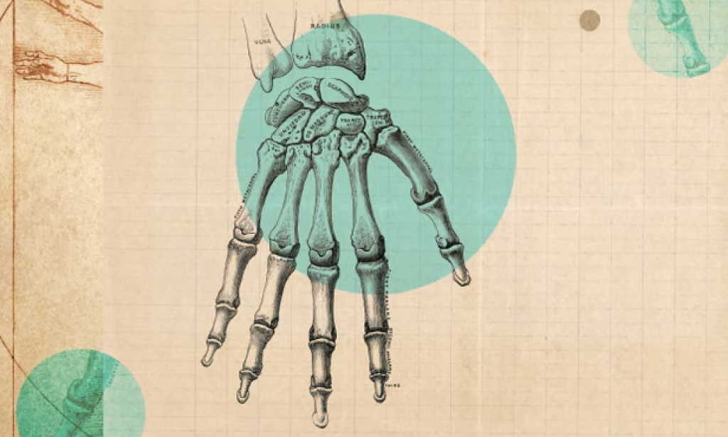 ‘It’s such a complex little area’: how to really look after your wrists